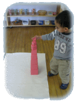 Curriculum - Sensorial